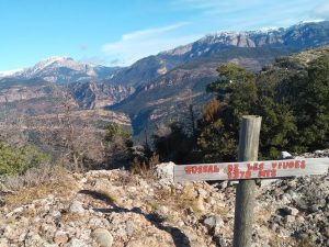 Excursió Malva al Tossal de les Vídues 1.378 m a la Serra dels Bastets